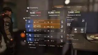 The Division DPS inventory bug