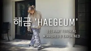 [MIRRORED TUTORIAL] 해금 ‘Haegeum’ - Agust D | 1st part Explained