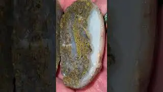 Love the gold mossy #agate #rocks #geology #minerals #rock #nature #earth #wow #love #fun #excited