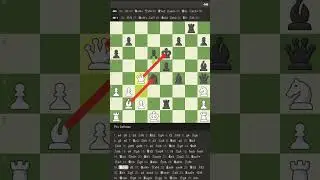 Chess gameplay 1#selfanalysis