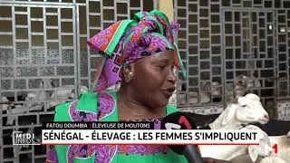 S&eacute;n&eacute;gal - &eacute;levage: les femmes s&rsquo;impliquent
