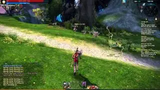 Korean MMO Insider | TERA True Action Combat | Maximum Graphics | 1080p | Berserker Gameplay
