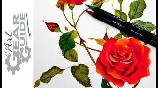 Arteza Brush Pen Speed Drawing