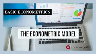 The Econometric Model  | Basic Econometrics | Basic Skills