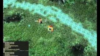 Lineage 2 Th in action !