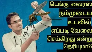 Dengue fever explanation in tamil/medical awareness in tamil