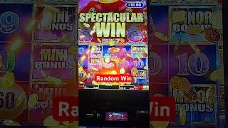 Random Spectacular Win #handpay #slot #slotscasinogames #gamblinggame #casino #slotmachine #jackpot