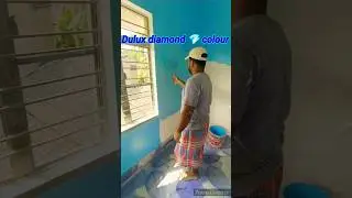Dulux Velvet Touch Diamond Glo Finish status #dulux #colors #panting #diamond