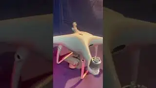 DJI phantom 4 pro V2.0 drone gimbal issue￼