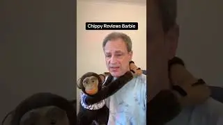 Monkey's Charming Review of the New Barbie Movie ! 🕵🏼🕵🏼 #shorts