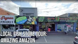 Visit To Amazing Amazon: Aquarium and Reptile Store (Australia Melbourne)