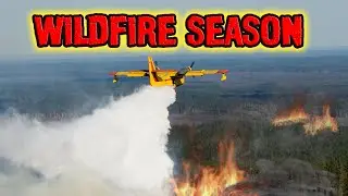 Top 10 States with the Most Wildfires!!!
