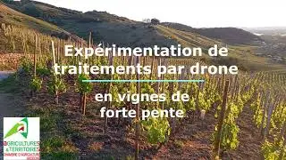 Expérimentations de traitements par drone en vignes de forte pente