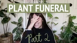 Plants That Have Died | PLANT FUNERAL PART 2