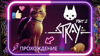 Stray. Прохождение. Часть 2. Трущобы - Крыши
