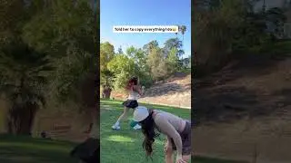 I think a horse got out!