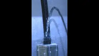 IP Test