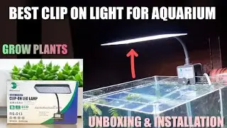 RS-S13 Clip On Lamp For Aquarium Unboxing And Setup | Light For Your Planted Tank @Indianpetguyy