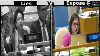 India Shame Pakistan's Fake Propaganda At UN