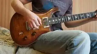Alexander Slesarenko Guitar (PRS Copy)