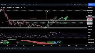 Hash Ribbons indica Compra de Bitcoin!