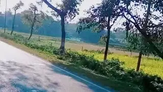Solo Road Trip - Rural Bihar 🇮🇳