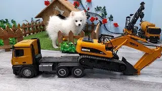 Little Dog Driving a Car Driving an Excavator Harvesting Carrots