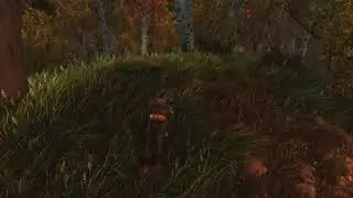 Trying to Show Grass Collision in Skyrim