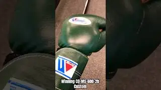 Winning gloves CO-MS-600-2B