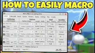 How To MACRO In BEE SWARM SIMULATOR (+ My settings)