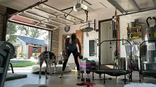 Back and ABS!!!!