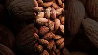 SR Natural Remedies | Food Medicine | Ayurveda Recipes | Kitchen Health Secrets | Almonds Day 48