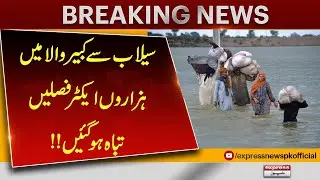 Thousands of Acres of Crops Destroyed in Kabirwala Flood! | Latest Update | Breaking News