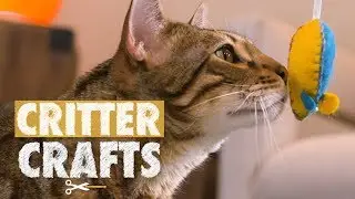 DIY Rocket Mice Cat Toys | Critter Crafts