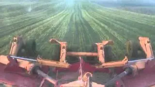 Broyage couvert v&eacute;g&eacute;tal (avoine) avec case 1195 et broyeur Gyrax 7m