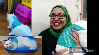 بلوزه للقطه (ملابس للقطه) كروشيه خطوه بخطوه | ميرهان حسني