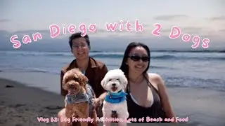 Vlog 52: San Diego with 2 Dogs | Dog friendly activities, lots of beach and food