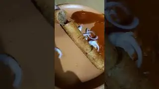 Fried Spring Roll With Chutney #shorts #youtubeshorts