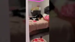 I CAUGHT THEM 🫢🤣