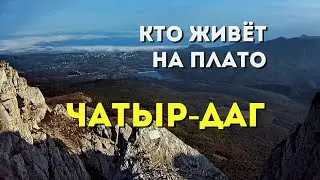 КТО сказал ГАВ на плато ЧАТЫР-ДАГ кто на нём ЖИВЁТ и что находится на вершине Эклизи-Буруна