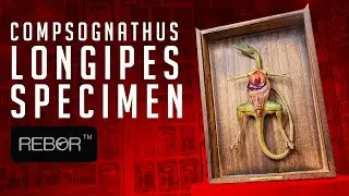Rebor Oddities - Обзор образца Compsognathus Longipes