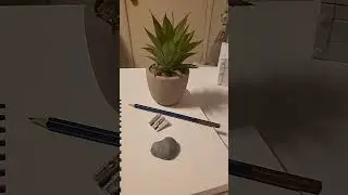 potted plant 🌱 drawing; sub for pt.2 #pottedplants #plants #drawing #plantdrawing #art #sub #pt.1