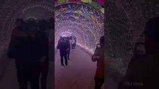 Light show Doha Qatar #shorts