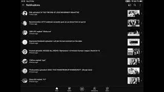 Denis has officially announced that he quit roblox