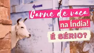 As Vacas na Índia  | Vacas Sagradas | Cultura da Índia