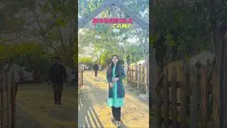 #minivlog #shortvideo #Baghmora eco camp😍😍