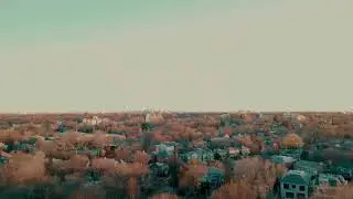 Cedarvale Park Dogs - Toronto, Canada