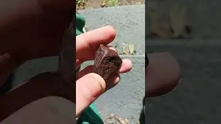 Element 115/118 Purest Form, Metal Element Extremely Rare Double Isotope.