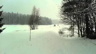 Auraus p&auml;tk&auml;&auml;