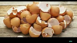 Removal of Methylene Blue from Aqueous Solution Using Chicken Eggshell Waste